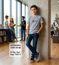 Футболка Amz T267-2 grey - делук