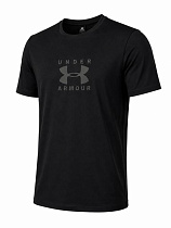 Футболка Alex Clothes 14472 black - делук