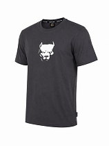 Футболка Alex Clothes 14579 grey - делук