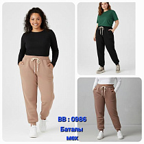 Штаны Спорт Hoan 0986 beige Штаны Спорт Hoan 0986 beige - делук