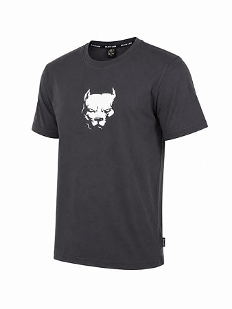 Футболка Alex Clothes 14579 grey - делук