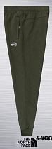 Штаны Спорт Azt AZ1087-4466 green - делук