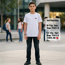 Футболка Ibambino T261-3 white - делук