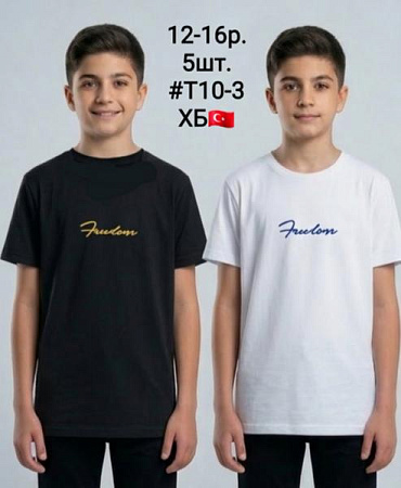 Футболка Amz T10-3 black - делук