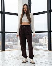 Штаны Спорт Azna Б98 brown Штаны Спорт Azna Б98 brown - делук