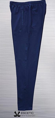 Штаны Спорт Azt AZ301 navy - делук