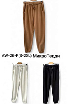 Штаны Спорт Ale-Ate AW26 l.beige - делук