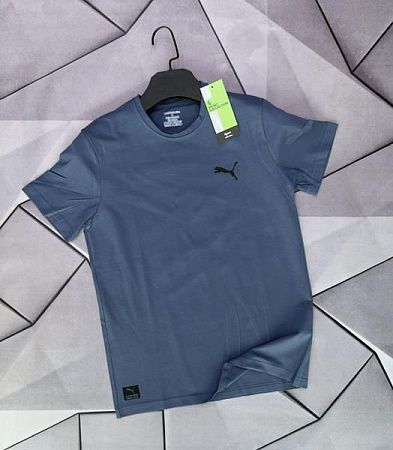 Футболка Rassul 6438 blue - делук