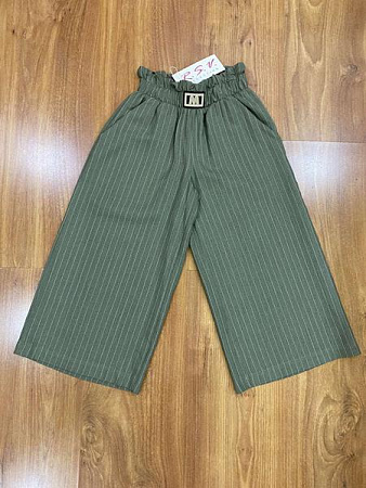 Штаны Rsv 102 green - делук