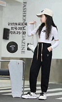 Штаны Спорт Farbique 207 black - делук