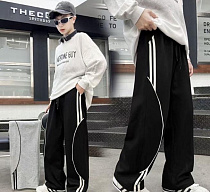 Штаны Спорт Farbique 228 grey - делук