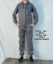 Костюм Спорт Ibambino 254-3 grey - делук