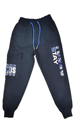 Штаны Спорт Malibu2 M5083 navy - делук