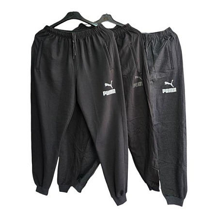 Штаны Спорт Sevim SV1950 grey - делук