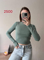 Топ Fsn 2500 mint - делук