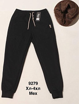 Штаны Спорт Minh 9279 black - делук