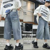 Бриджи Major 25306 grey - делук