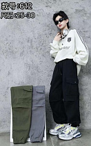 Штаны Farbique 612 grey - делук