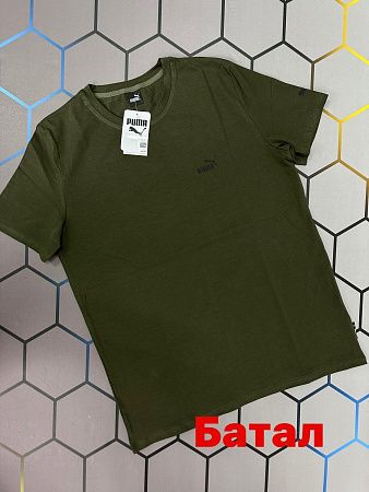 Футболка Alex Clothes 4502 green - делук