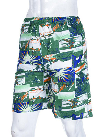 Шорты Meisty 777-9 green - делук