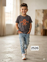 Футболка Фунтик 2526 grey - делук