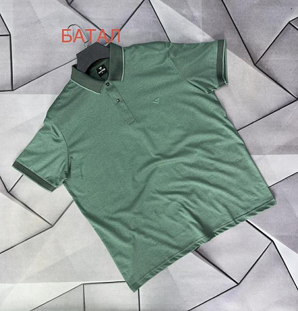 Футболка Rassul 67229 green - делук