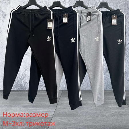 Штаны Спорт Hai H959 grey - делук