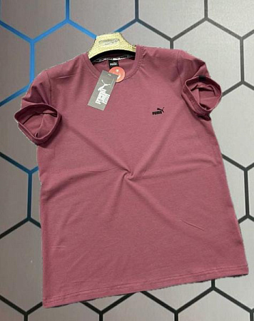 Футболка Alex Clothes 13963 powder - делук