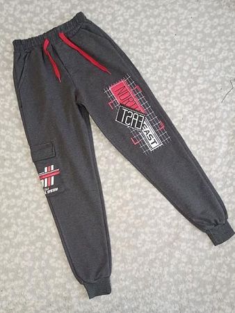 Штаны Спорт Malibu2 1028-25 grey - делук