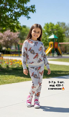 Костюм Спорт Amz 420-1 grey - делук