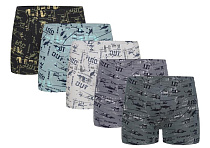 Трусы Disneyopt Kids 858116 mix (12-13) Трусы Disneyopt Kids 858116 mix (12-13) - делук