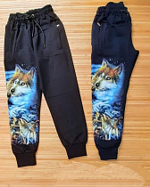 Штаны Спорт Meloria ML3538 black - делук