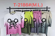 Костюм Anion T2186 mix - делук