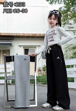 Штаны Спорт Farbique 233 grey - делук