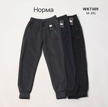 Штаны Спорт Hoan WK7309 black - делук