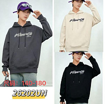 Батник Farbique 26202 grey - делук