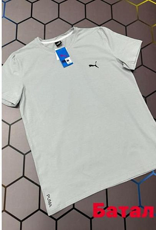 Футболка Alex Clothes 13119 l.grey - делук