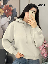 Худи Fsn 4001 l.grey - делук