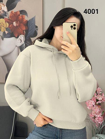 Худи Fsn 4001 l.grey - делук