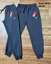 Штаны Спорт Ayden 002P grey - делук