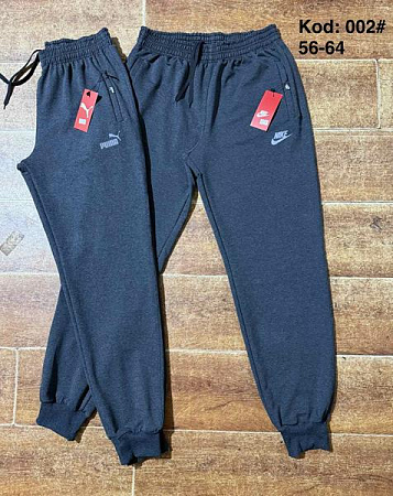 Штаны Спорт Ayden 002P grey - делук