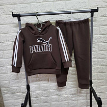 Костюм Спорт Proschenko PR595 brown - делук