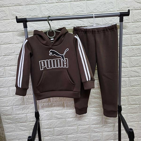 Костюм Спорт Proschenko PR595 brown - делук