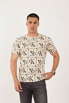 Футболка F.T.H F116 beige - делук