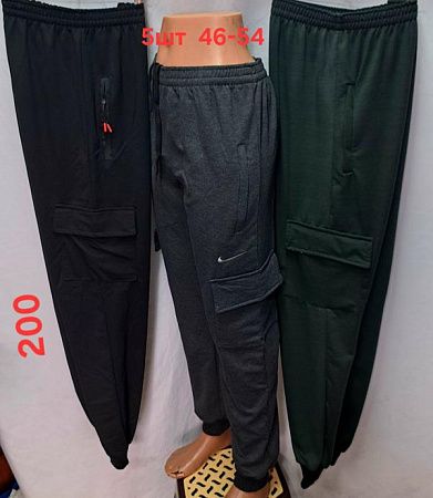 Штаны Спорт Van Truong 200 green - делук