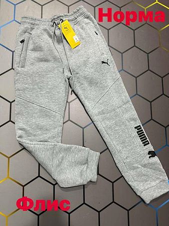 Штаны Спорт Alex Clothes 1763 grey - делук