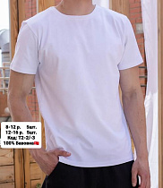 Футболка Amz T2-2 white - делук