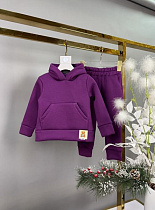 Костюм Спорт Delfinka 081-1 purple - делук