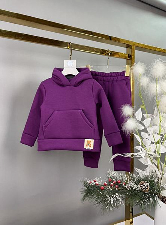Костюм Спорт Delfinka 081-1 purple - делук