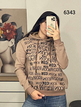 Худи Fsn 6343 d.beige - делук